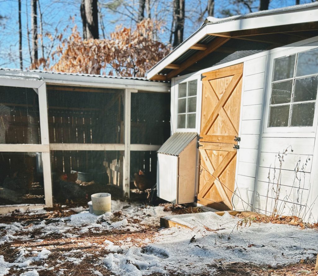 chicken house and run